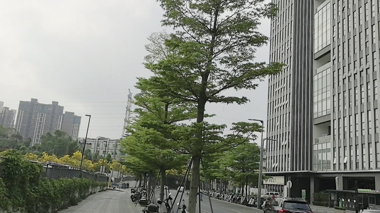 (出租) 厂房招租松岗地铁站附近工业上楼15,000平方价格18块