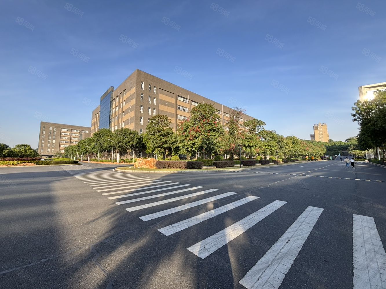 (出租) 深圳市宝安区松岗街道原房东红本重工业厂房大小分租
