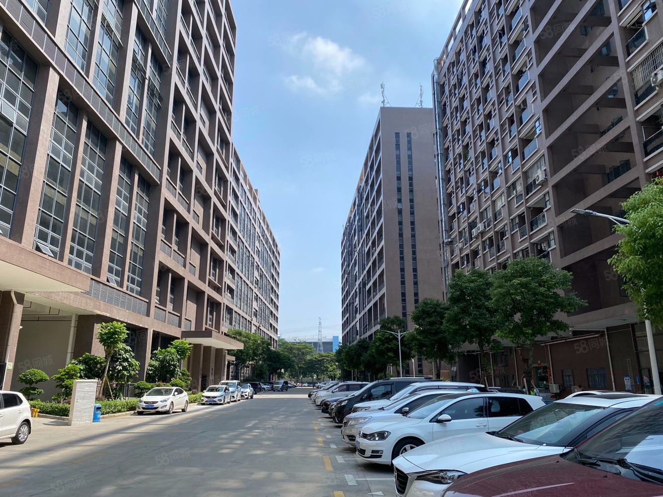 (出租) 深圳市宝安区松岗街道潭头原房东红本高新园区新出一楼厂房