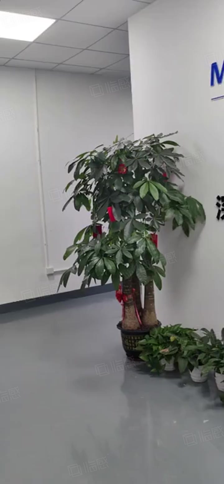 (出租) 松岗原房东200至5000平精装修厂房办公室仓库出租