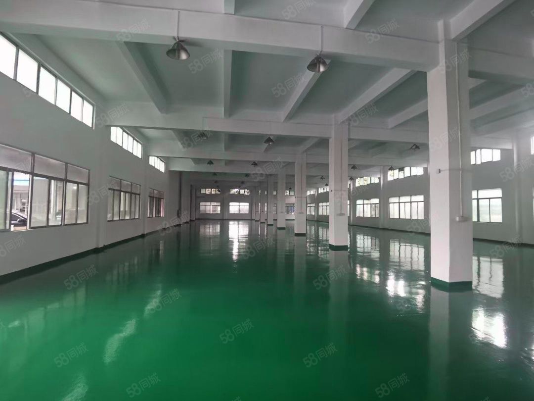(出租) 博罗石湾科技园 多层厂房出租，4800价格美丽有宿舍