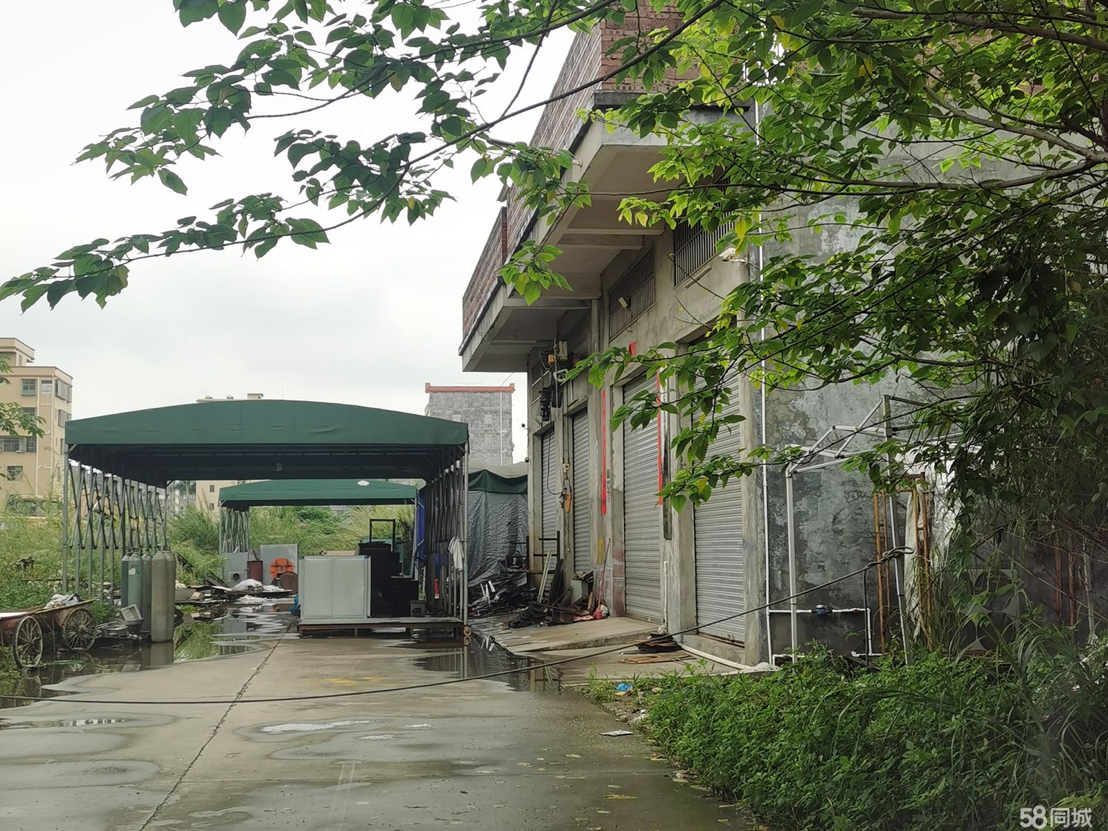 (出租) 个人厂房直租330平方一层楼