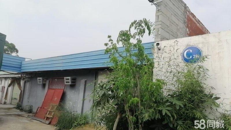 (出租) 独门独院单一层出租可分租