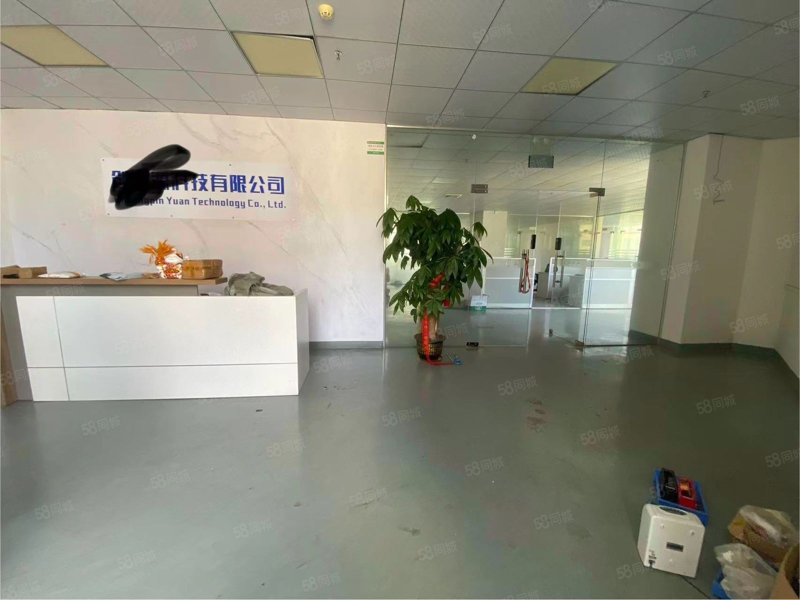 (出租) 新空出!塘厦镇中心一手房东1380平方豪华装修