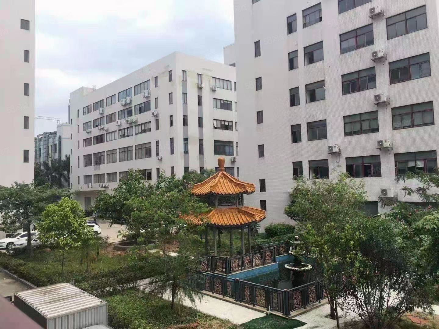 (出租) 新空出!塘厦镇中心一手房东1380平方豪华装修