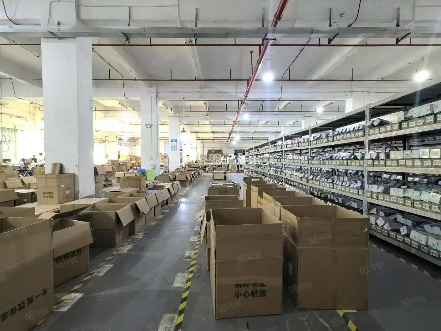 (出租) 塘厦石马原房东一楼3800平方,消防喷淋,可分租