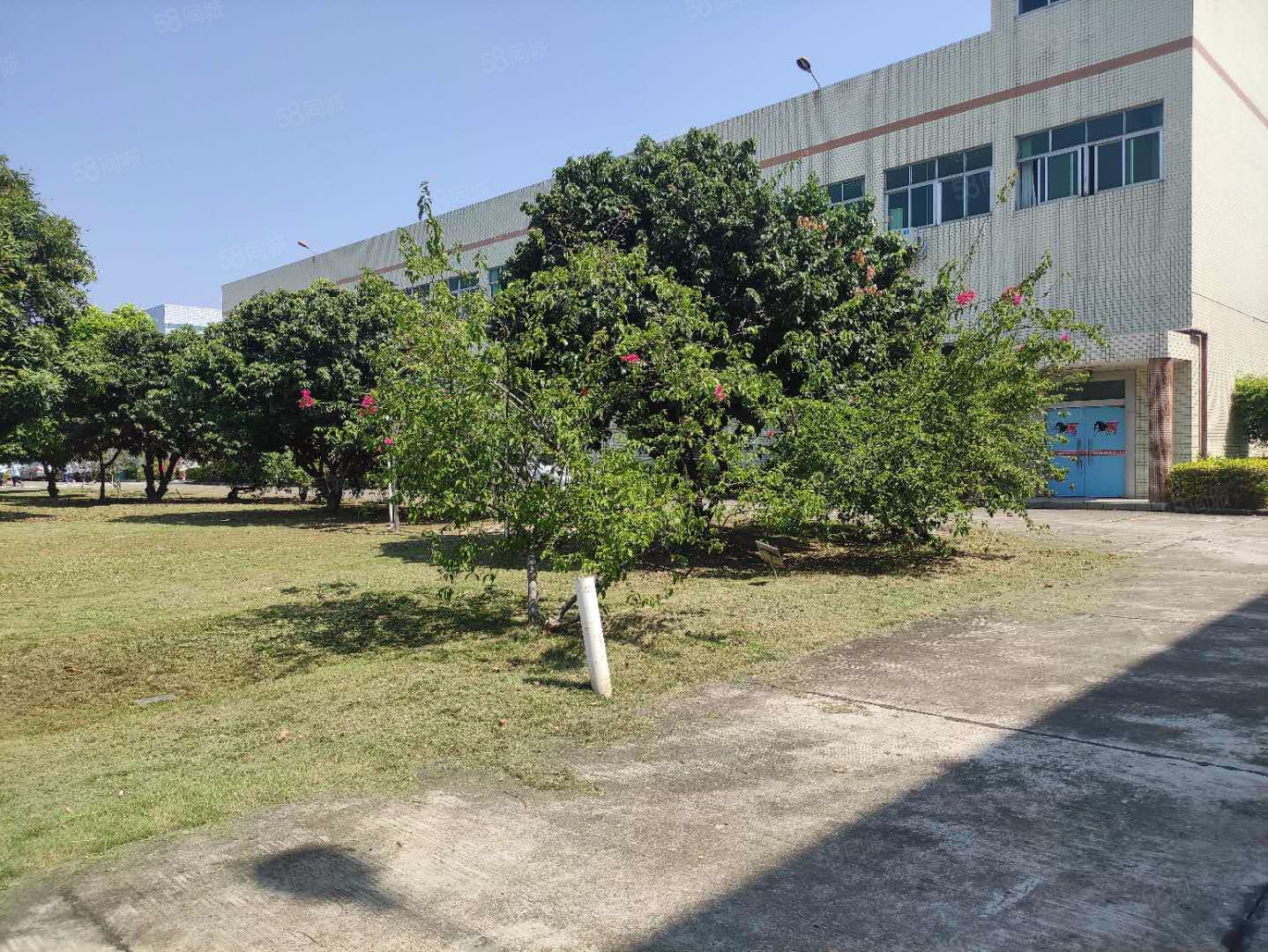 (出租) 塘厦独栋2层厂房一楼二楼各1000平，价格11元出租 形象好