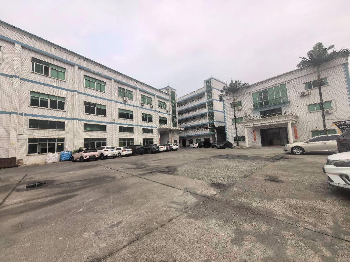 (出租) 塘厦田心本地房东1楼1500平方整层出租，层高6米带牛角位