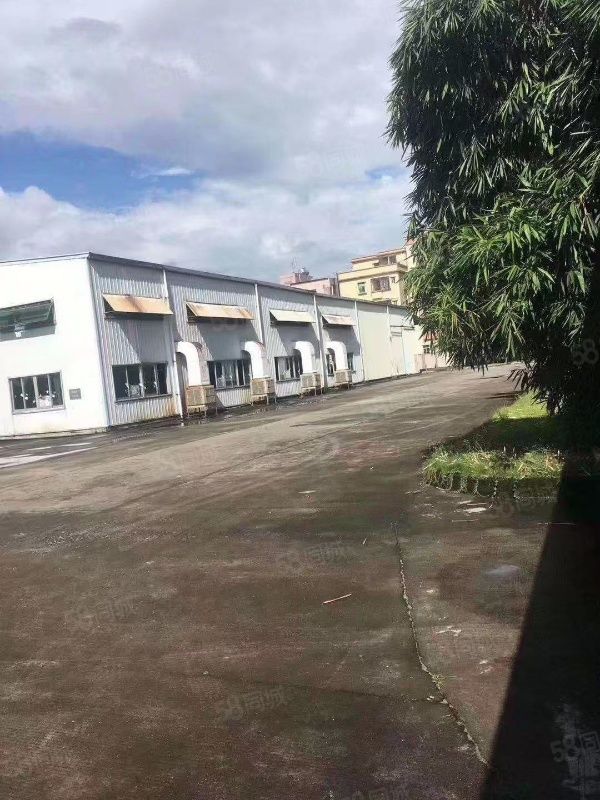 (出租) 塘厦科苑城新出10米钢构原房东