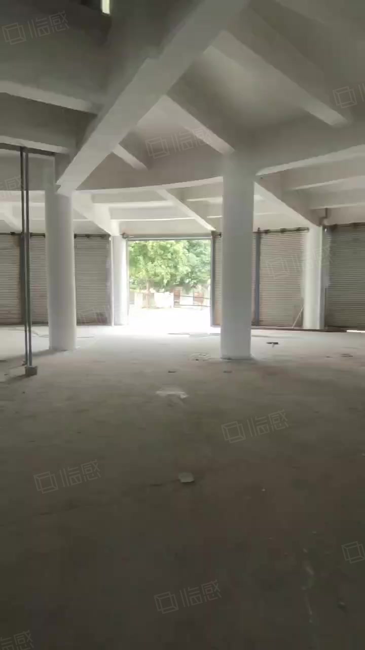 (出租) 塘厦科苑城新出独院20000平带卸货平台1000平起分