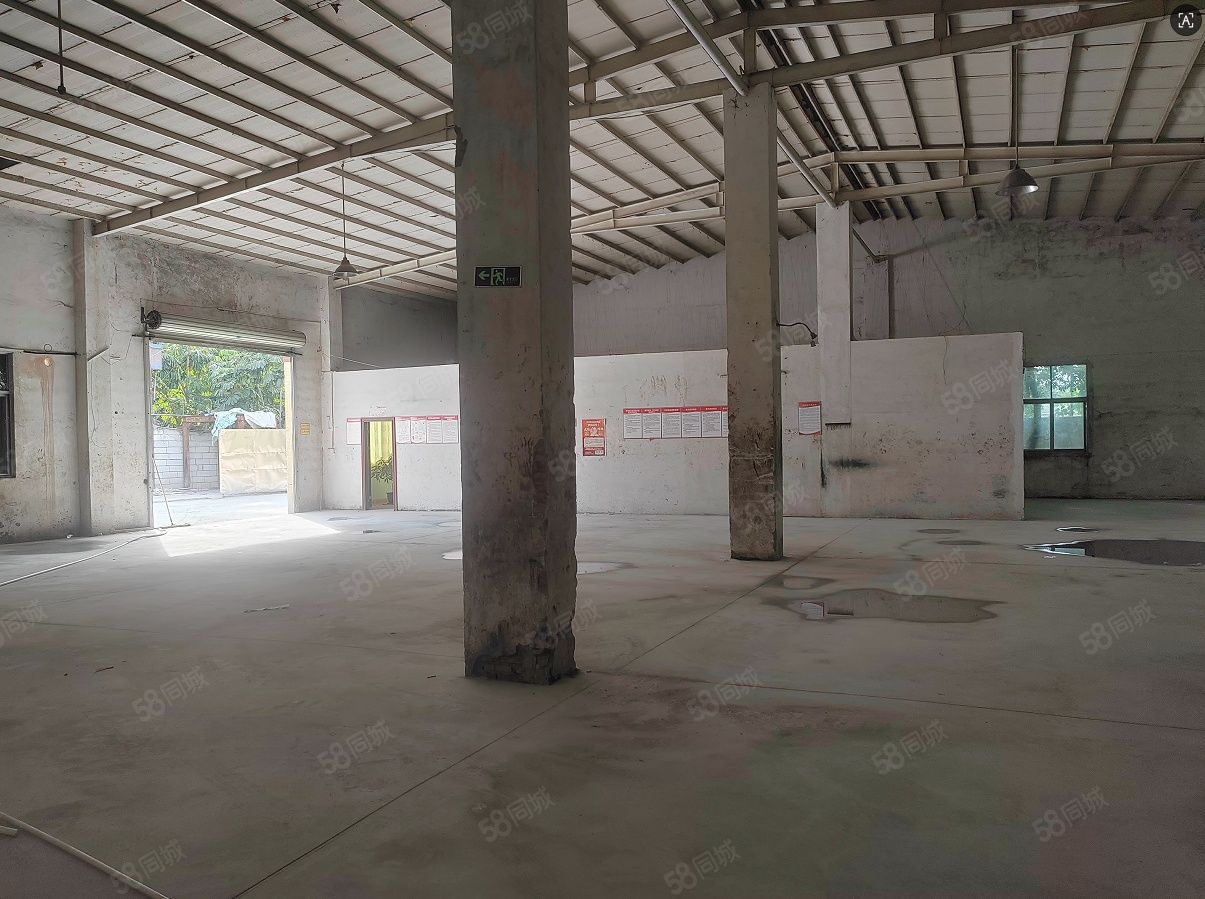 (出租) 塘厦镇小独院，钢构1000平，实际面积高度7米，只要15元