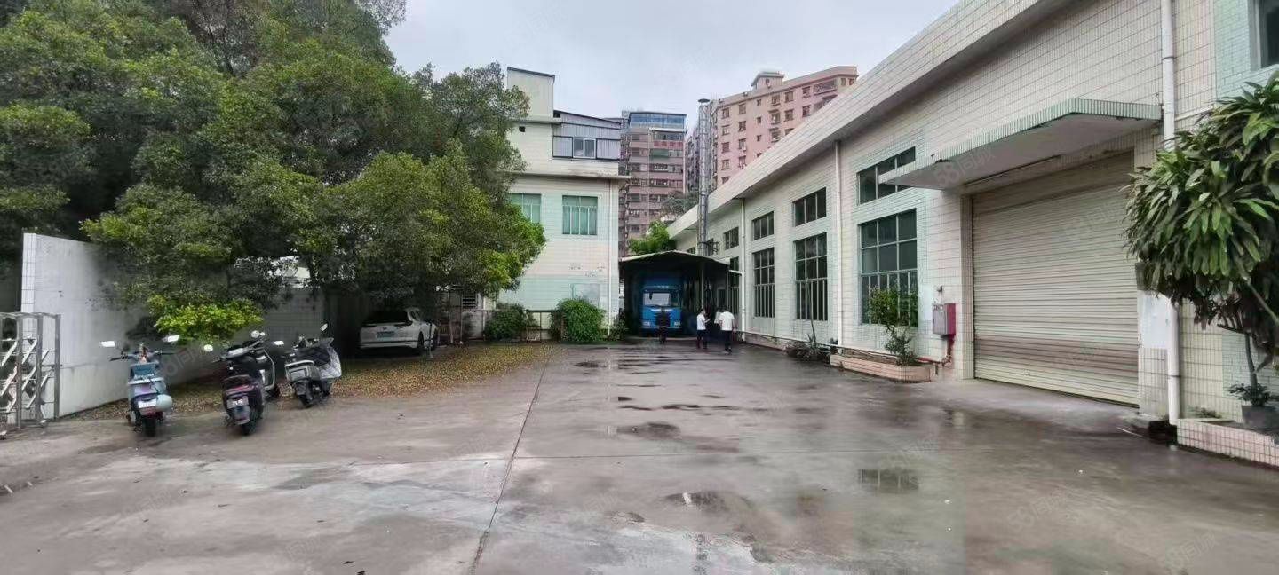 (出租) 塘厦大坪主路边2400平方钢构独院，滴水7米工业用地厂房