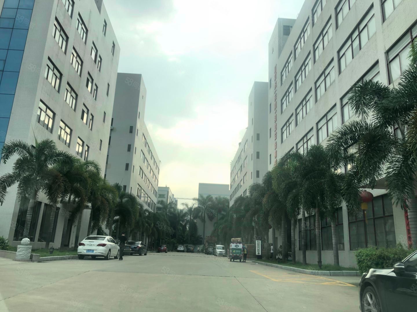 (出租) 大坪高速口!零公摊!3楼500平方豪华装修