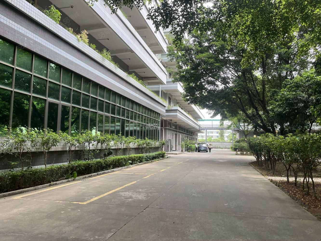 (出租) 塘厦厂房出租 做贸易的老板看过来 塘厦最适合做贸易仓的场地