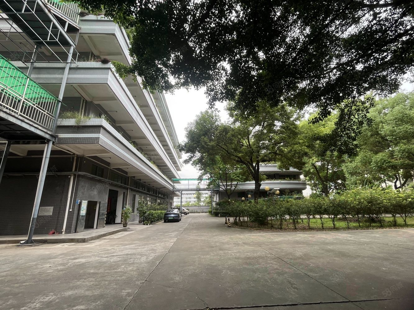 (出租) 塘厦厂房出租 做贸易的老板看过来 塘厦最适合做贸易仓的场地