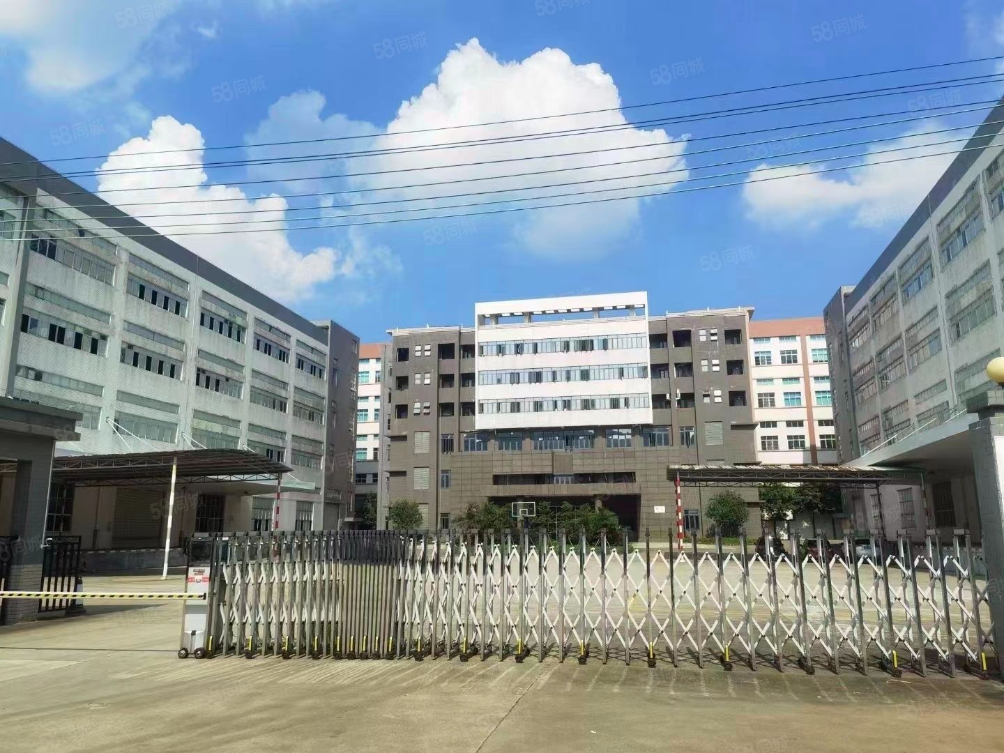 (出租) 毗邻深圳大湾区塘厦科技园原房东标准厂房27000方火热招租