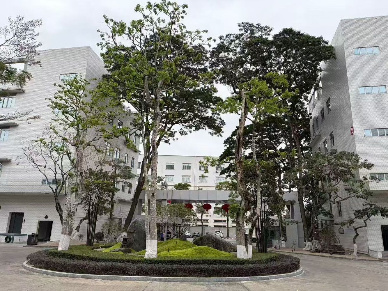 (出租) 塘厦原房东厂房仓库出租1200平方现成精装修办公室地坪
