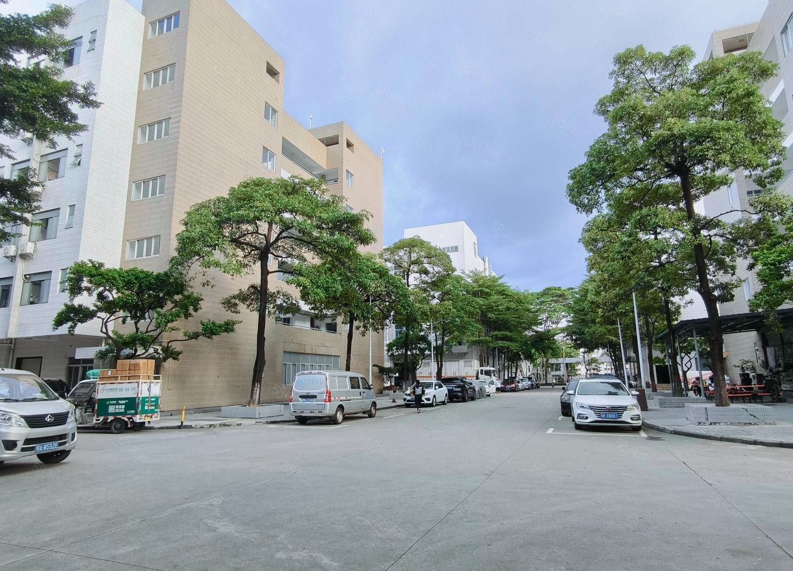 (出租) 塘厦原房东厂房仓库出租1200平方现成精装修办公室地坪