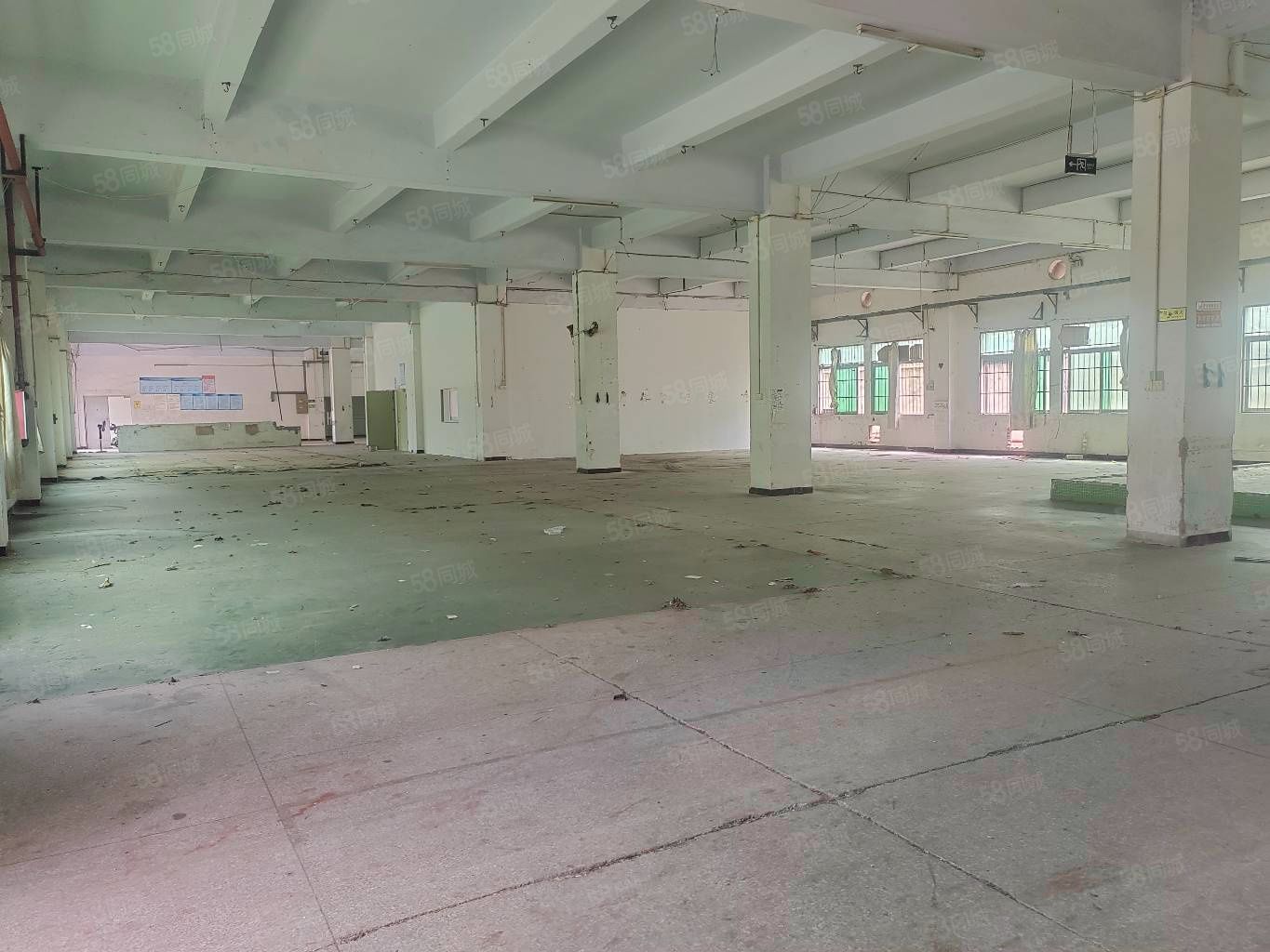 (出租) 塘厦镇标准独院厂房出租。工业用地可办环评周边无居民,配套成熟