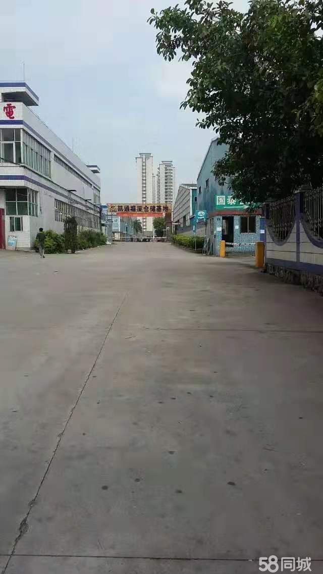 (出租) 出租塘厦大坪钢构一楼仓库
