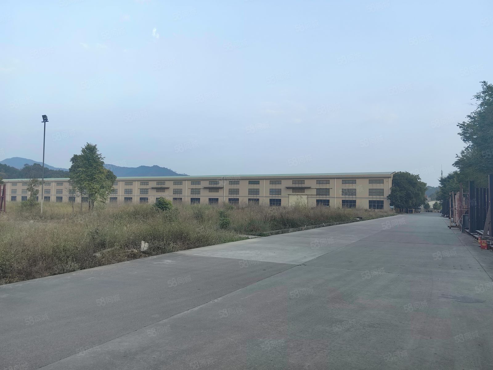 (出租) 13块博罗园洲独门独院18000平原房东厂房出租滴水高14米