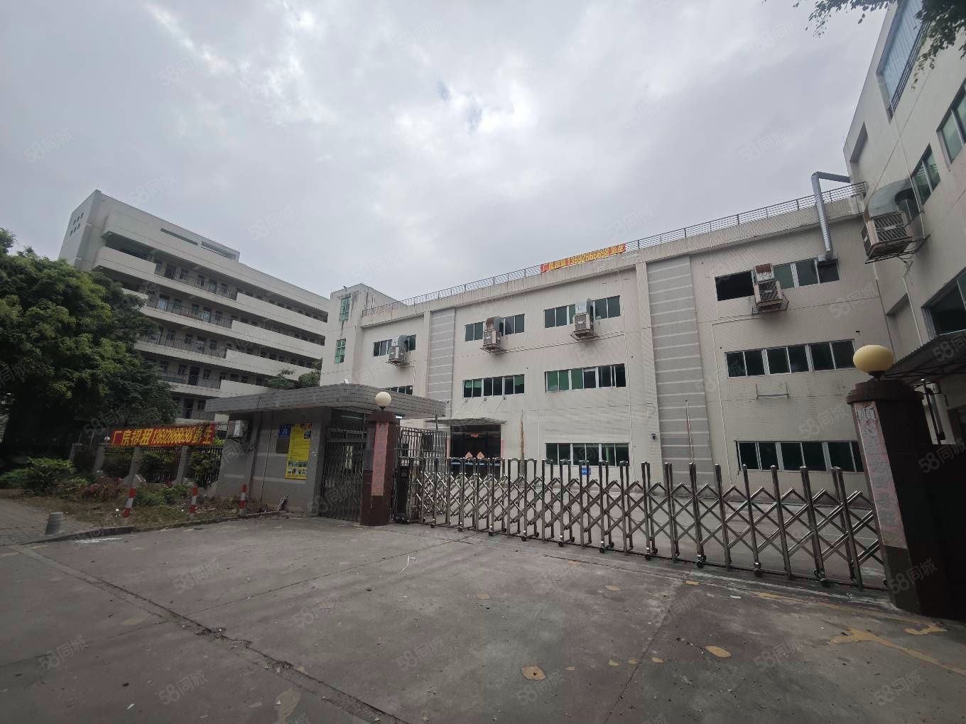(出租) 租金10元小独院4000平实际面积园洲原房东直租