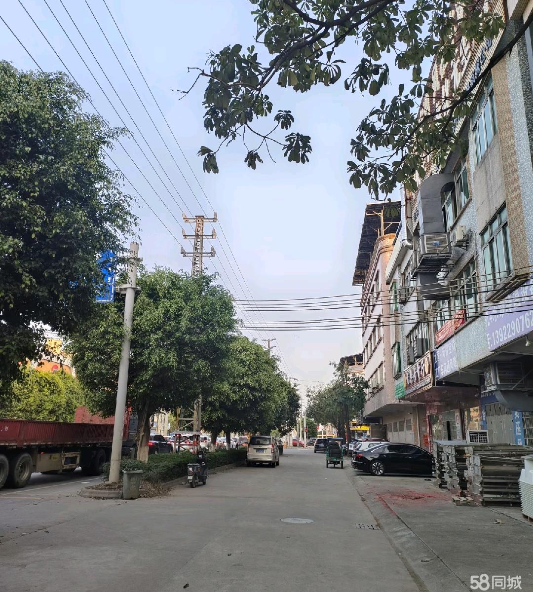 (出租) 路边整栋旺铺便宜出租