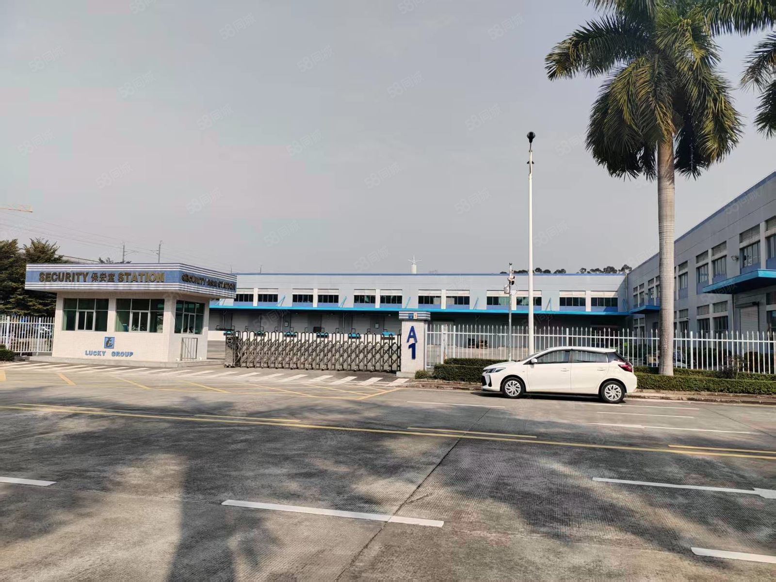 (出租) 长安镇原房东单一层独院厂房5000空地超大厂房空地1:1