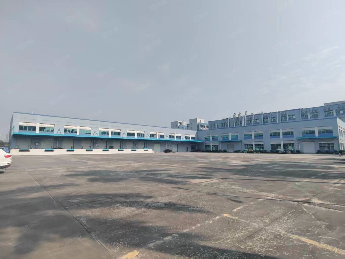 (出租) 长安镇原房东单一层独院厂房5000空地超大厂房空地1:1