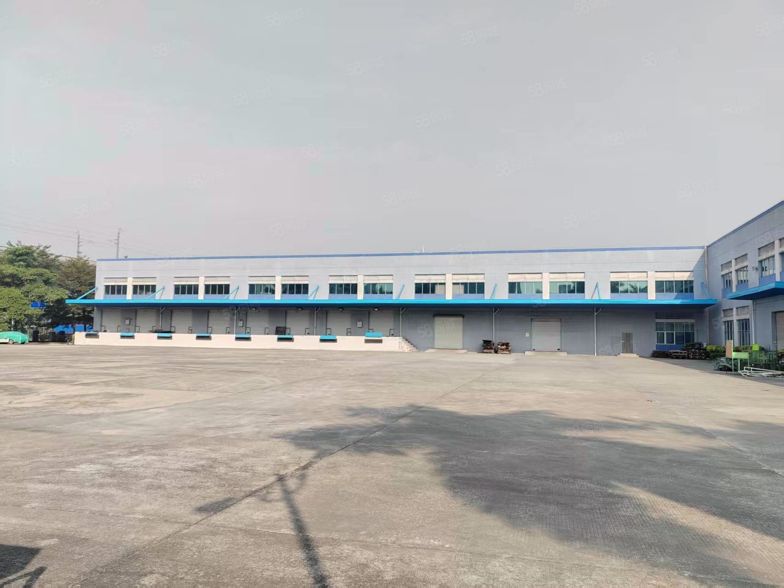 (出租) 长安镇原房东单一层独院厂房5000空地超大厂房空地1:1