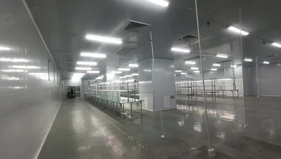 (出租) 新安增田独门独院厂房5800平方出租500起分租现成精装修