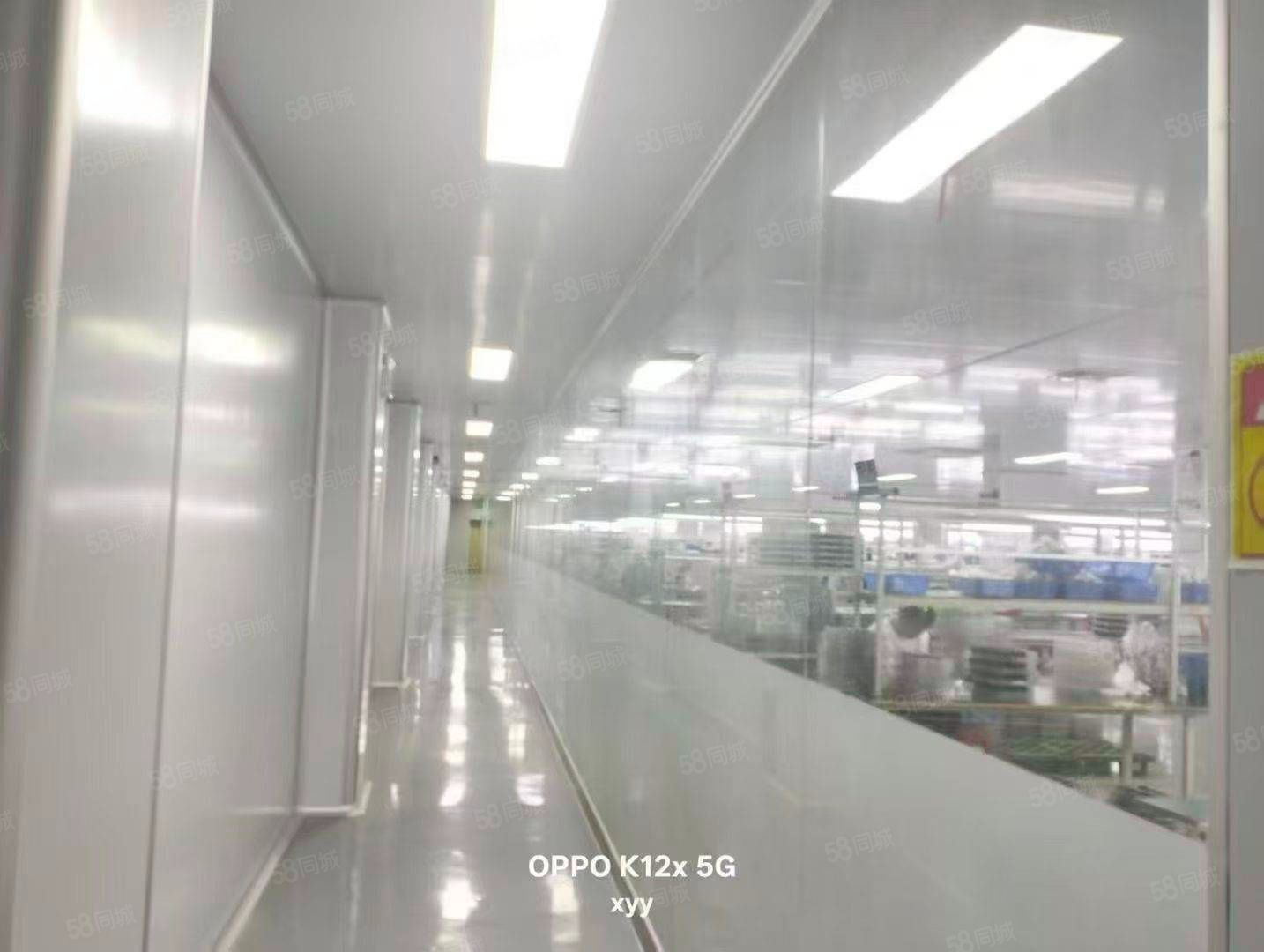 (出租) 长安上沙新出三楼精装修无尘车间1200平方，水电齐全，拎包入