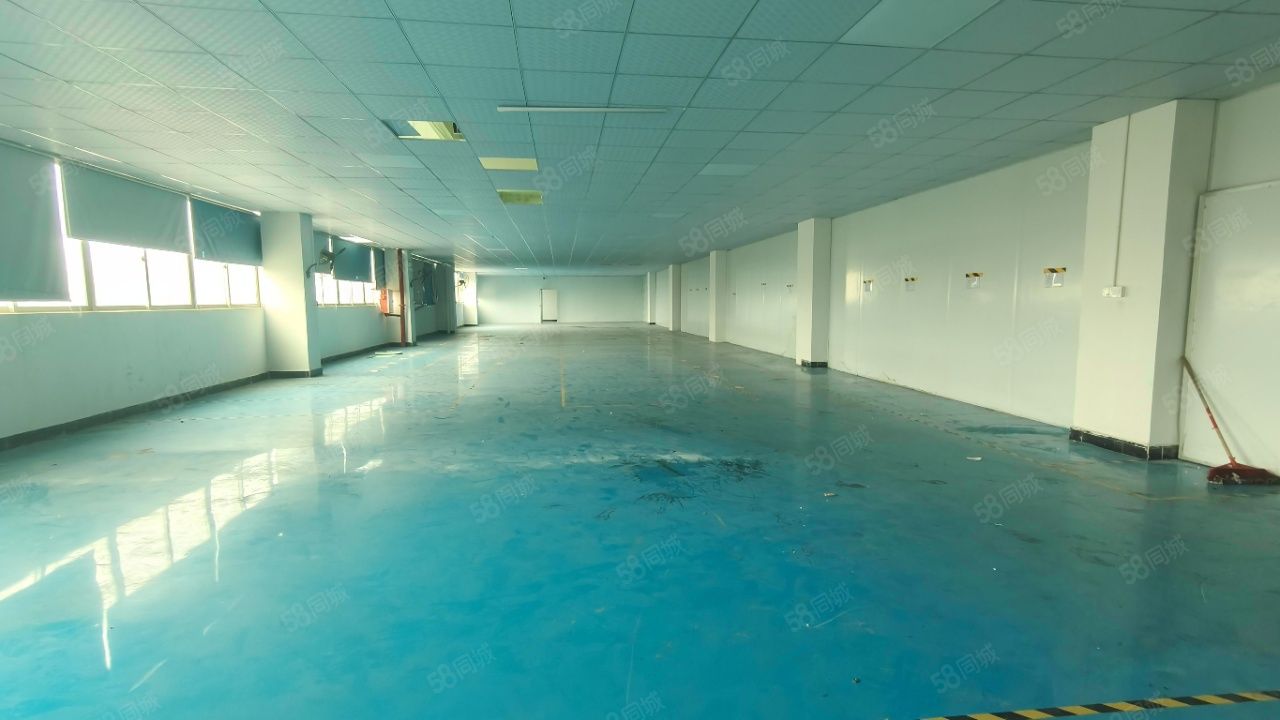 (出租) 16元长安上沙原房东独院厂房仓库出租5500平出租1000起