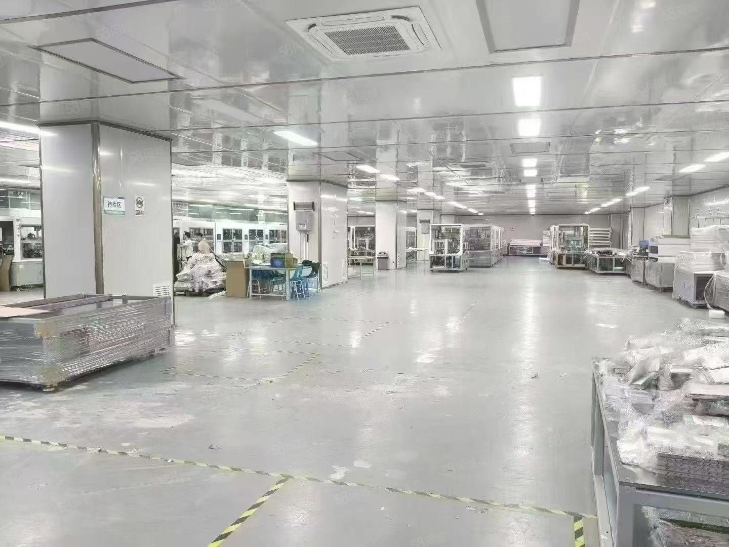 (出租) 滨海湾无尘车间2000平方厂房出租，工业园仓库出租独院