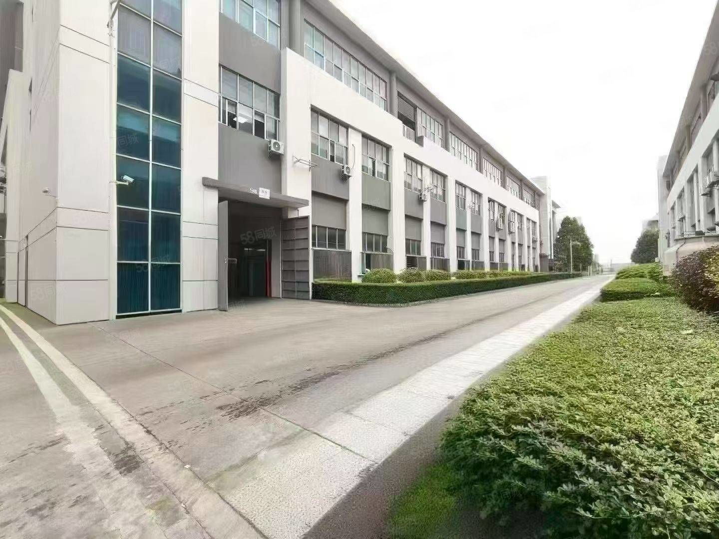 (出租) 滨海湾无尘车间2000平方厂房出租，工业园仓库出租独院
