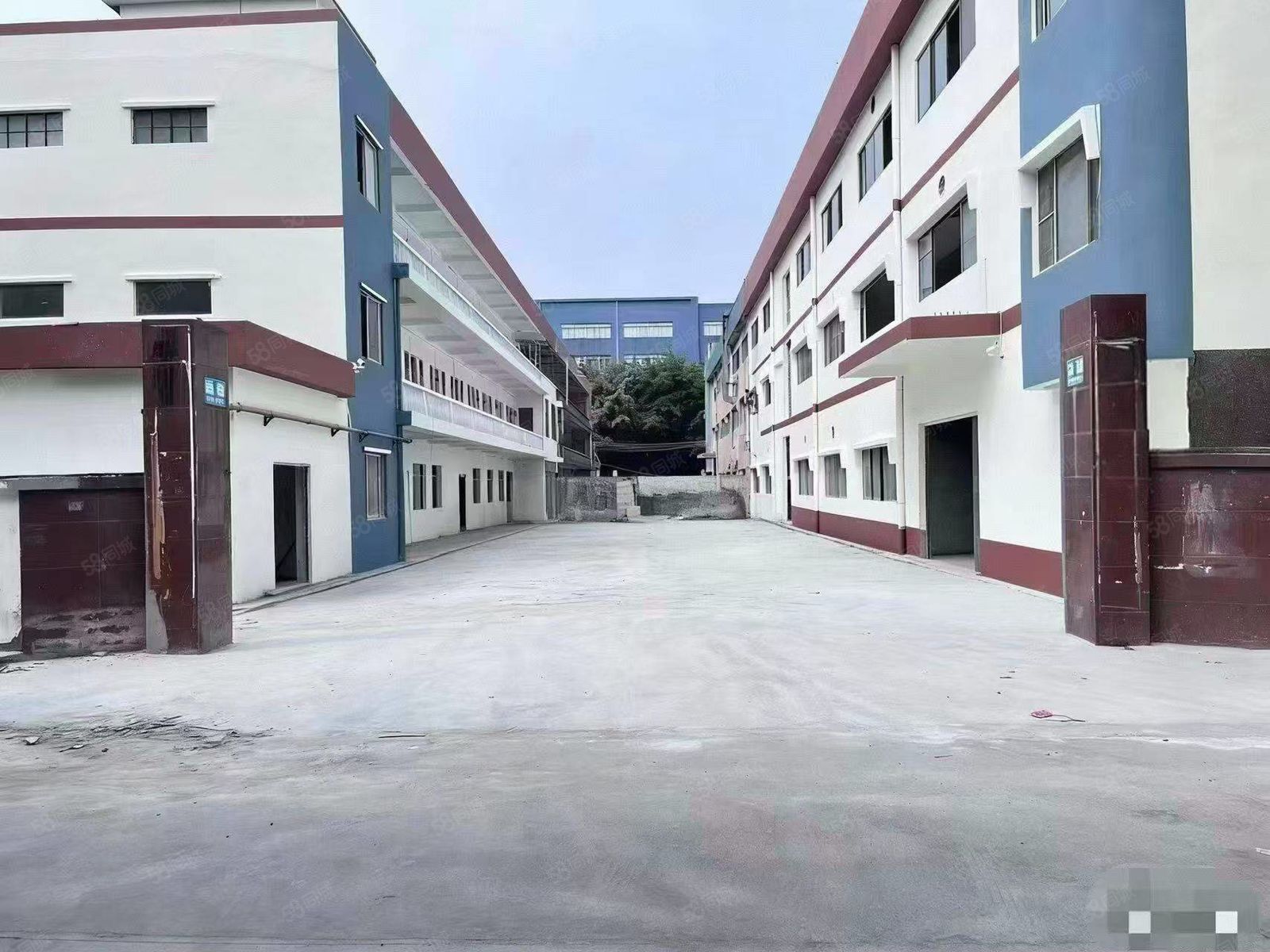 (出租) 虎门大宁靠近长安新出一楼550平全新厂房出租