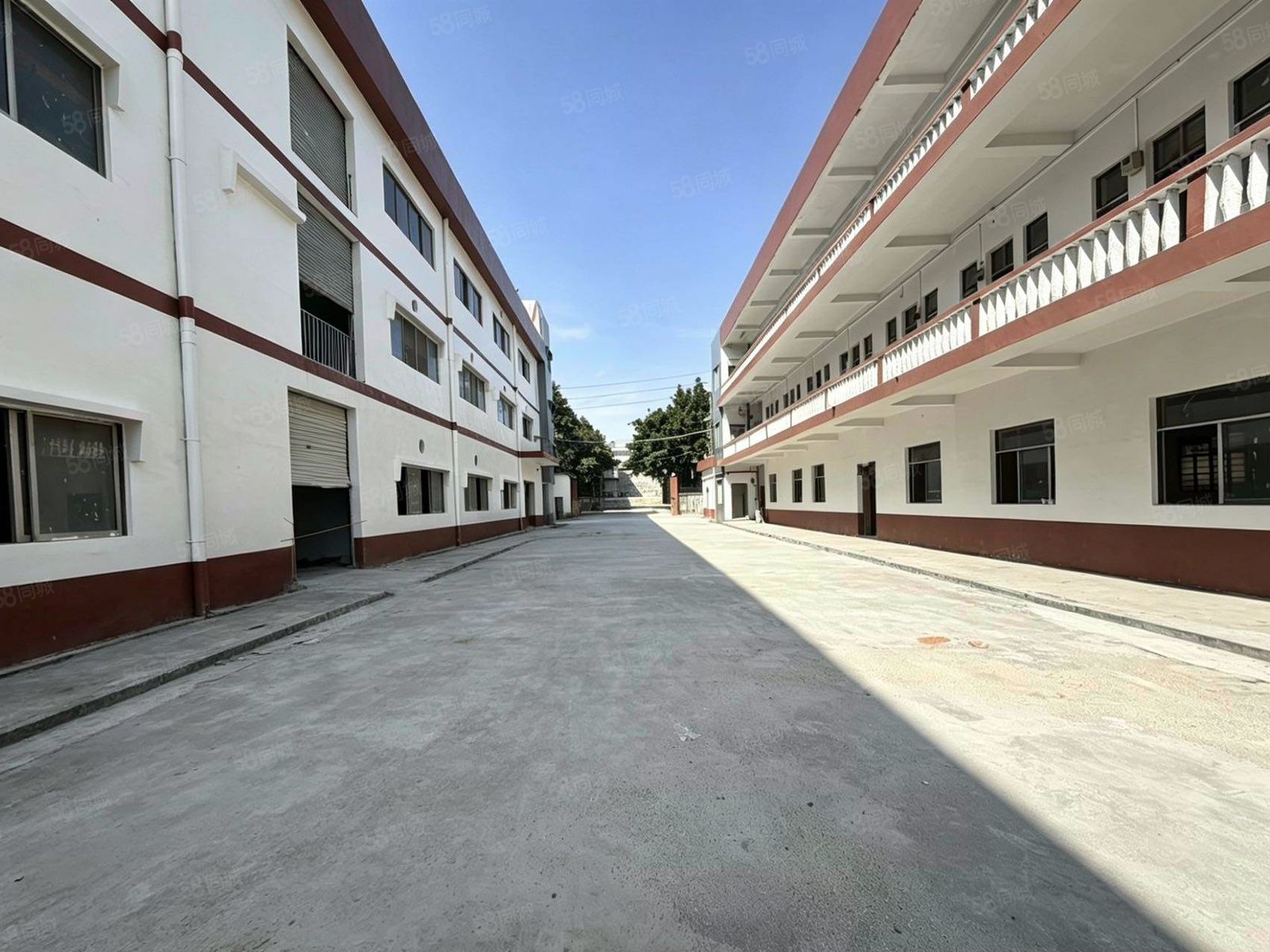 (出租) 虎门大宁靠近长安新出一楼550平全新厂房出租