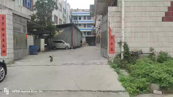 (出租) 长安乌沙独门独院标准厂房3900平方出租适合电子组装设备线材