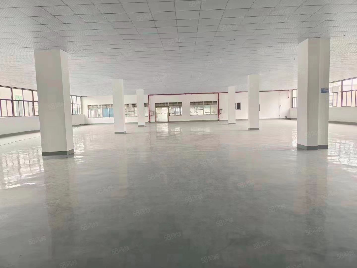 (出租) 长安乌沙新安大桥整层2216平方厂房出租