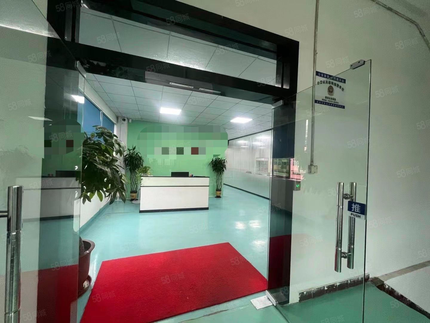 (出租) 长安沙头新出整层1500方，带豪华装修，水电齐全300平起分