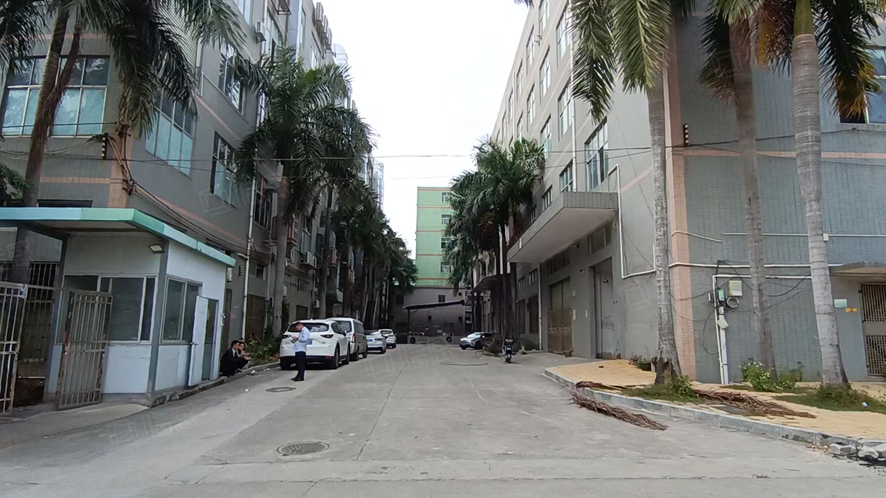 (出租) 长安沙头独栋厂房带无尘车间,分租楼上16元起,精装修免费送