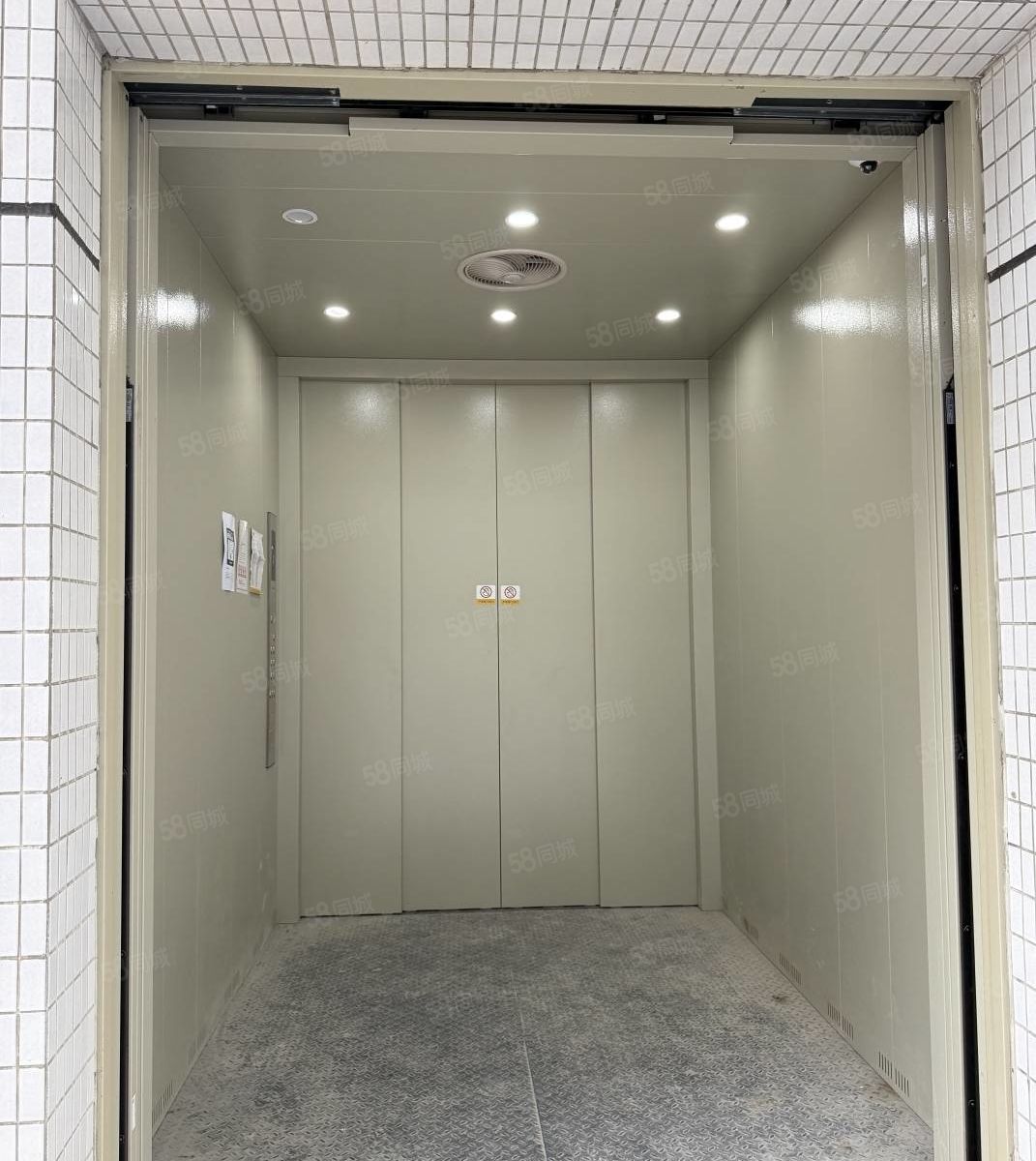 (出租) 长安滨海湾新区全新厂房出租