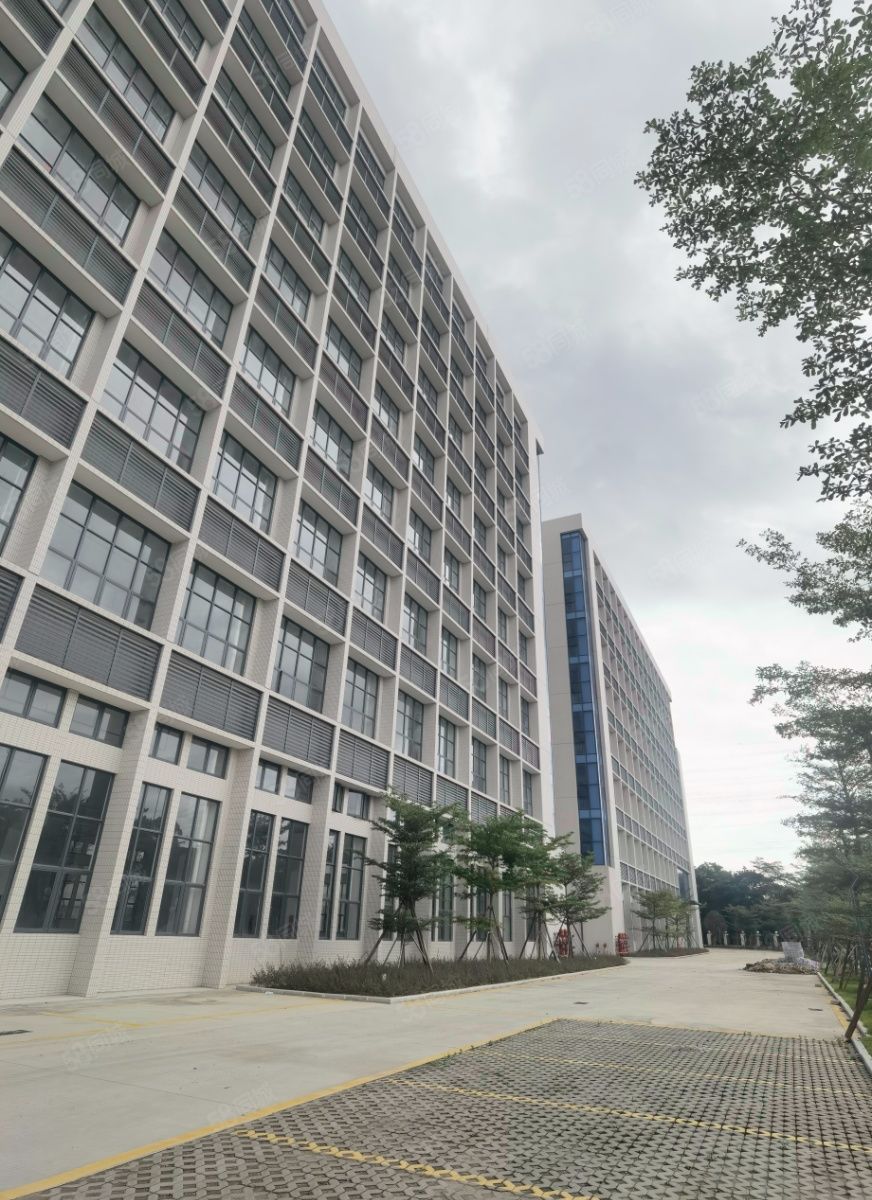 (出租) 14元!长安沙头厂房出租独门独院精装修单一层原房东空地大