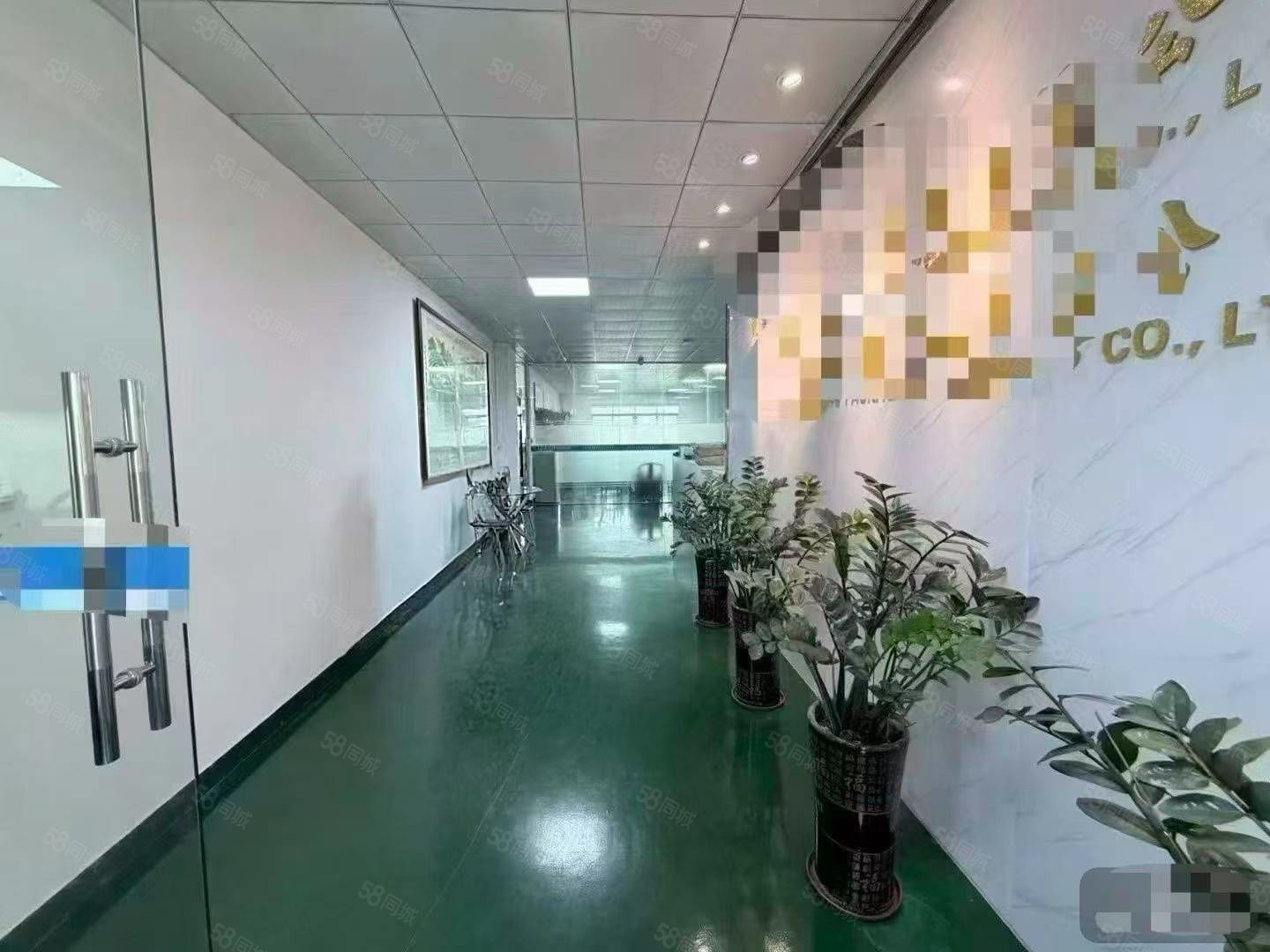 (出租) 长安镇沙头现成装修，交通便利 形象好2楼12000