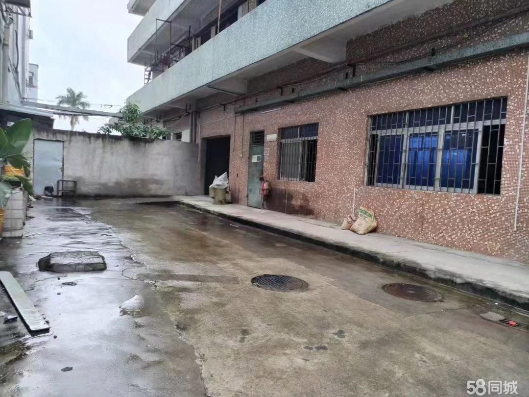 (出租) 长安沙头一楼200平厂房，好进车带空地，原房东直租