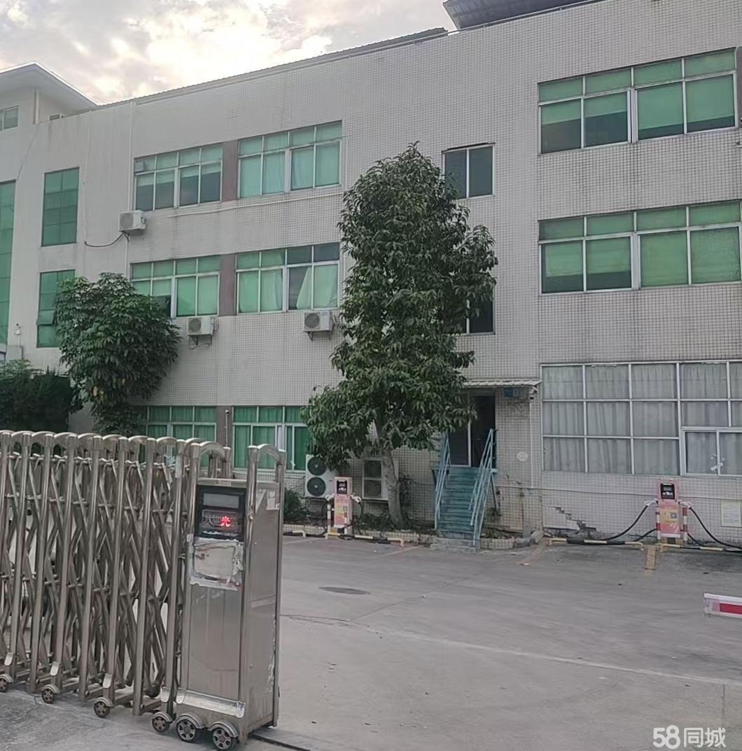 (出租) 锦厦3楼400平无电梯，可做培训/办公/电商/厂房/仓库等