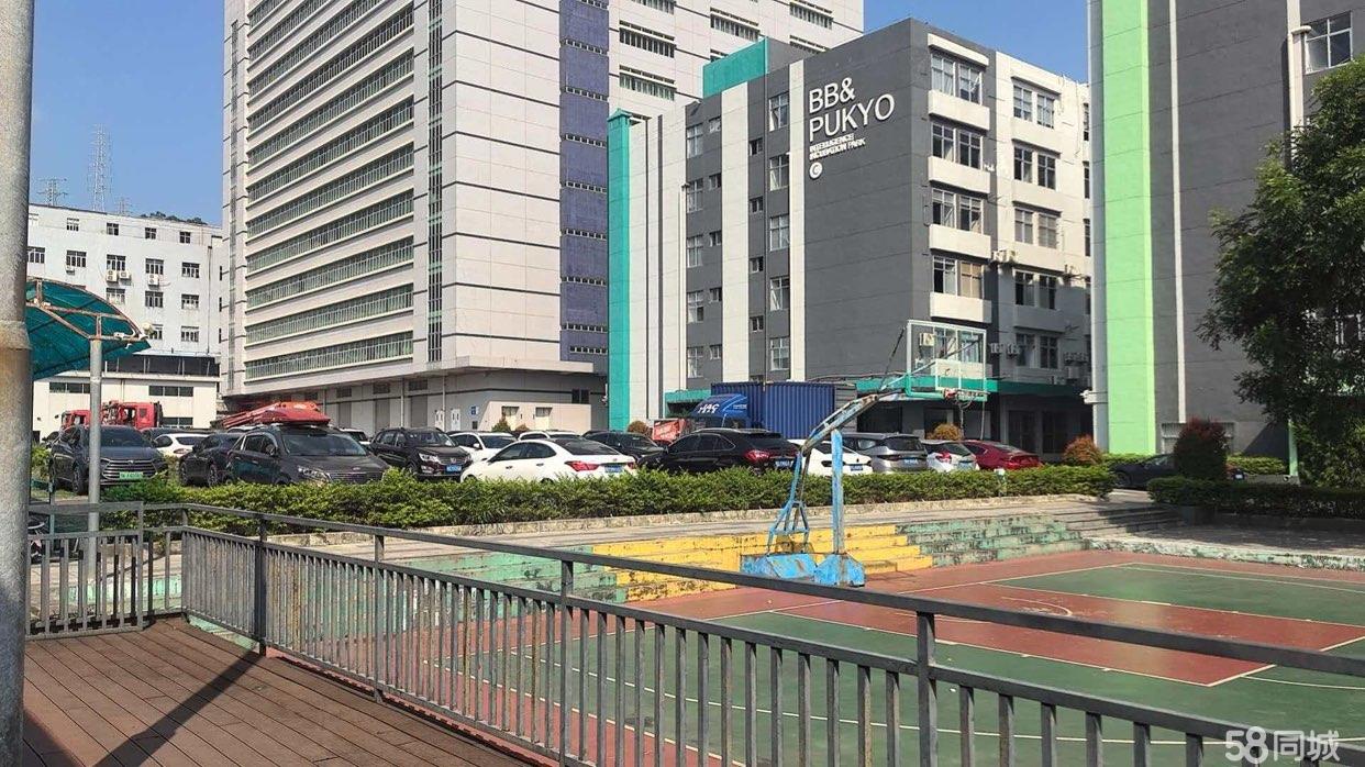 (出租) 本地房东的厂房，之前是租给上市公司，现在可以分租