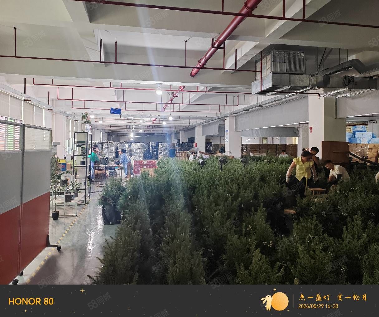 (出租) （300的主线接到了车间）镇隆大路边新出原房东厂房2500平