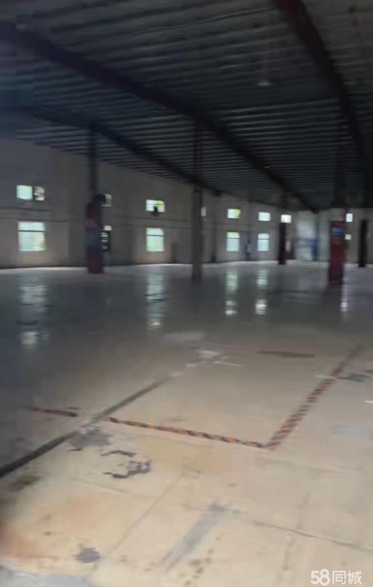 (出租) 镇隆钢结构厂房出租，滴水8米