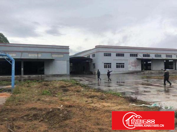 惠东县白花镇独院总面积40300平米出租大小分租